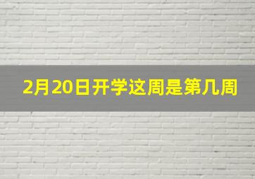 2月20日开学这周是第几周