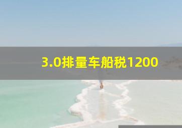 3.0排量车船税1200