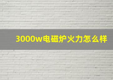 3000w电磁炉火力怎么样