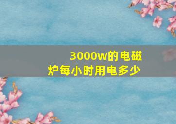 3000w的电磁炉每小时用电多少