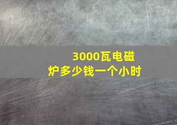 3000瓦电磁炉多少钱一个小时