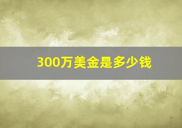 300万美金是多少钱