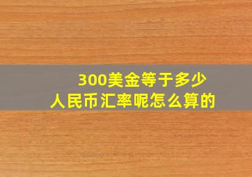 300美金等于多少人民币汇率呢怎么算的