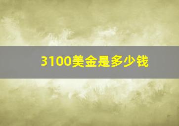 3100美金是多少钱