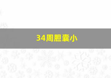 34周胆囊小