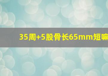 35周+5股骨长65mm短嘛