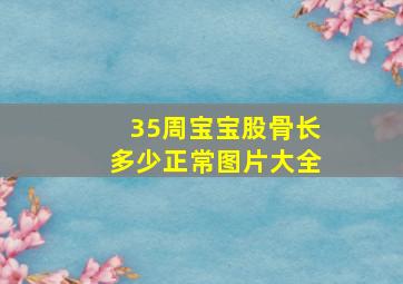 35周宝宝股骨长多少正常图片大全