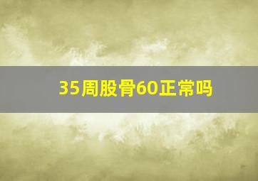 35周股骨60正常吗