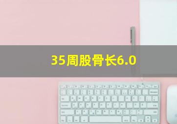 35周股骨长6.0