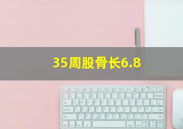 35周股骨长6.8