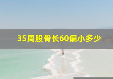 35周股骨长60偏小多少