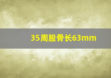 35周股骨长63mm