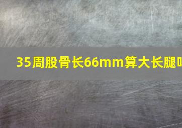 35周股骨长66mm算大长腿吗