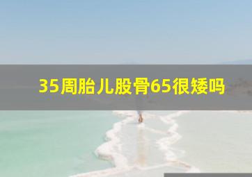 35周胎儿股骨65很矮吗