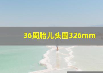 36周胎儿头围326mm