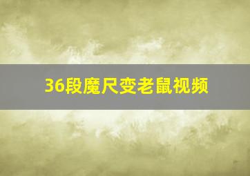 36段魔尺变老鼠视频