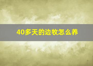 40多天的边牧怎么养