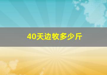 40天边牧多少斤