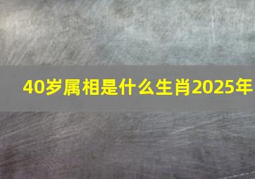 40岁属相是什么生肖2025年