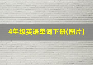 4年级英语单词下册(图片)