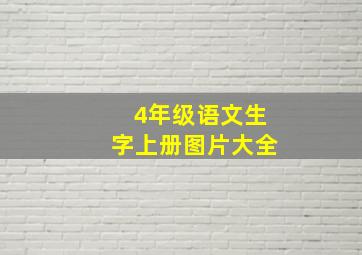 4年级语文生字上册图片大全