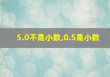 5.0不是小数,0.5是小数