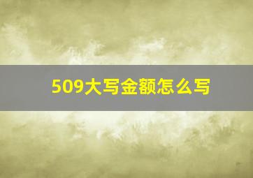 509大写金额怎么写