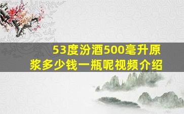 53度汾酒500毫升原浆多少钱一瓶呢视频介绍