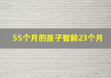 55个月的孩子智龄23个月