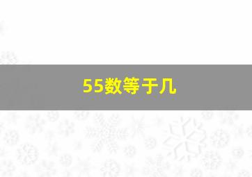 55数等于几