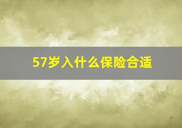 57岁入什么保险合适