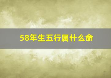 58年生五行属什么命