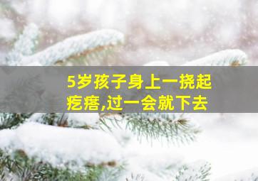 5岁孩子身上一挠起疙瘩,过一会就下去