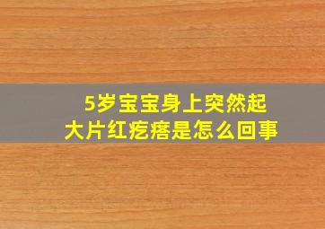 5岁宝宝身上突然起大片红疙瘩是怎么回事