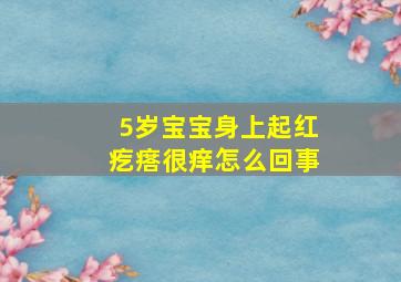 5岁宝宝身上起红疙瘩很痒怎么回事