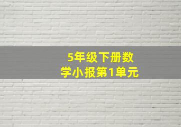 5年级下册数学小报第1单元