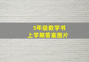 5年级数学书上学期答案图片