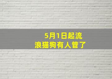 5月1日起流浪猫狗有人管了