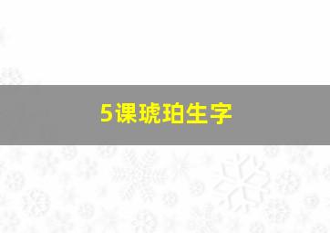 5课琥珀生字