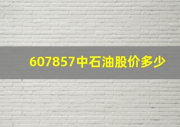 607857中石油股价多少