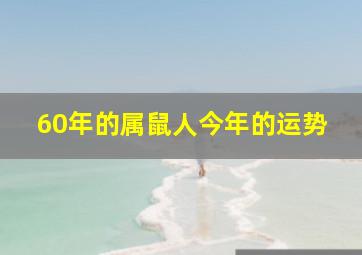 60年的属鼠人今年的运势