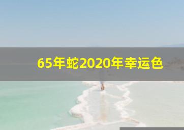 65年蛇2020年幸运色