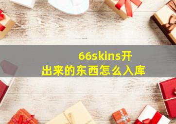 66skins开出来的东西怎么入库