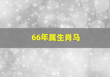 66年属生肖马