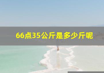 66点35公斤是多少斤呢