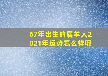 67年出生的属羊人2021年运势怎么样呢