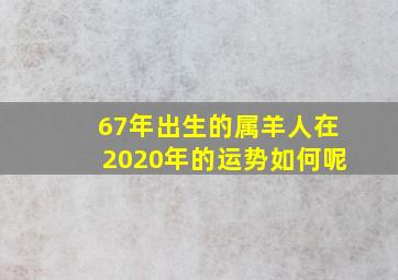 67年出生的属羊人在2020年的运势如何呢