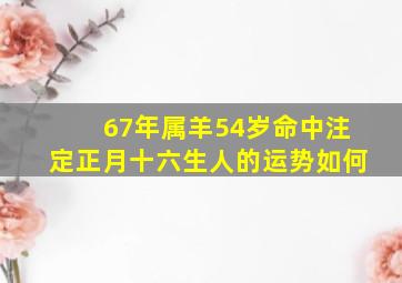 67年属羊54岁命中注定正月十六生人的运势如何