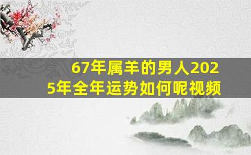 67年属羊的男人2025年全年运势如何呢视频