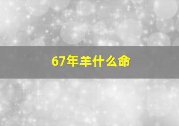 67年羊什么命